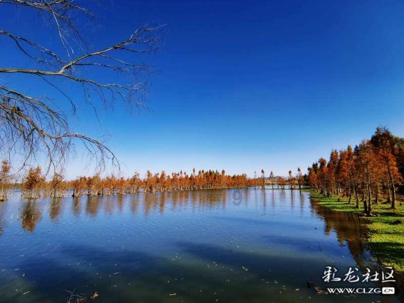 电视柜落地好还是悬空好- 专业有问必答平台